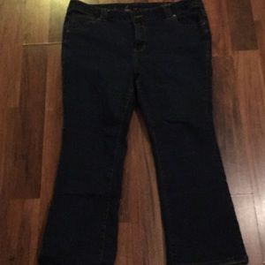 Lane Bryant jeans!! Excellent shape